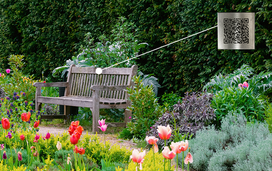 A sunny tree-lined path with a QR Code attached to one of the trees.